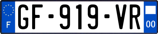GF-919-VR