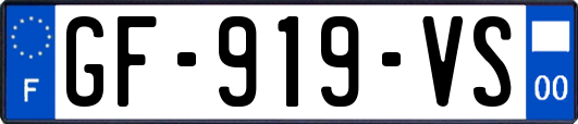 GF-919-VS