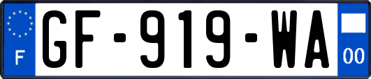 GF-919-WA