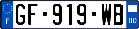 GF-919-WB