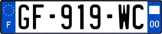 GF-919-WC