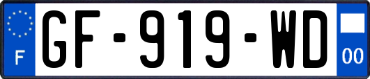 GF-919-WD