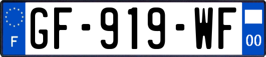 GF-919-WF