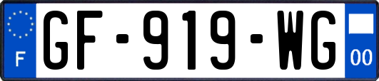 GF-919-WG