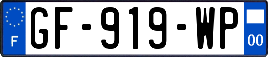 GF-919-WP