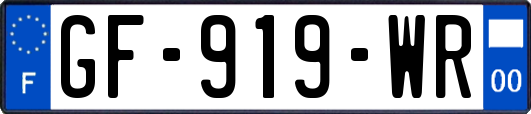 GF-919-WR