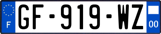 GF-919-WZ