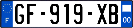 GF-919-XB