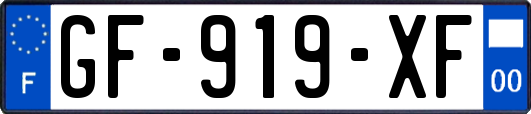 GF-919-XF