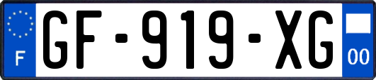 GF-919-XG