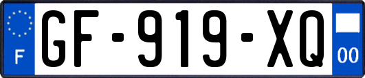 GF-919-XQ