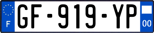 GF-919-YP