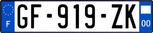 GF-919-ZK