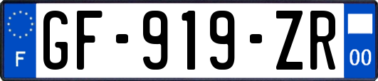 GF-919-ZR