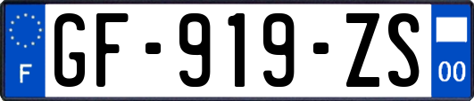 GF-919-ZS