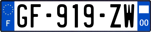 GF-919-ZW