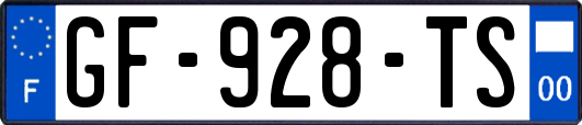 GF-928-TS