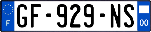 GF-929-NS