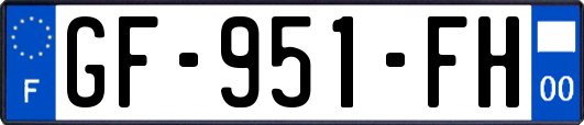 GF-951-FH