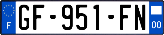 GF-951-FN
