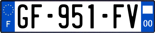 GF-951-FV