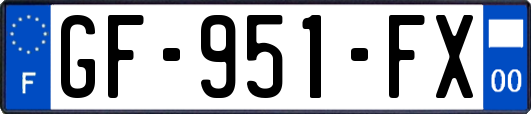 GF-951-FX