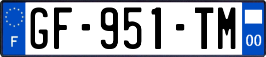 GF-951-TM