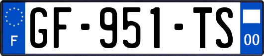 GF-951-TS