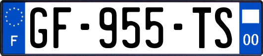 GF-955-TS