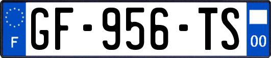 GF-956-TS