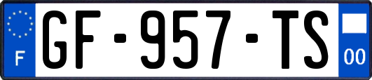 GF-957-TS