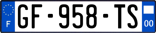 GF-958-TS