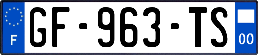 GF-963-TS