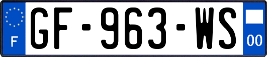 GF-963-WS