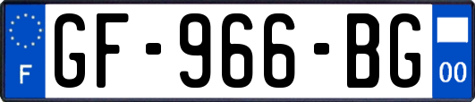 GF-966-BG