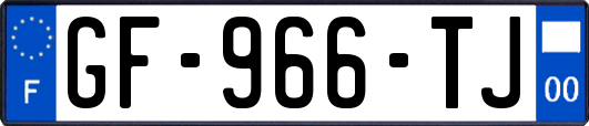 GF-966-TJ