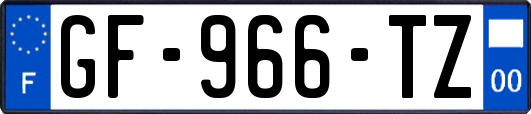 GF-966-TZ
