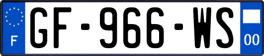 GF-966-WS