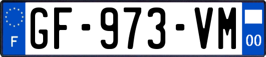 GF-973-VM