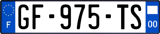 GF-975-TS