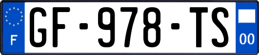 GF-978-TS