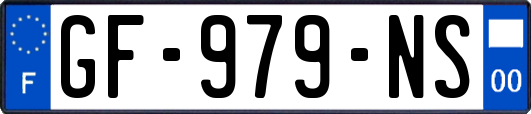 GF-979-NS