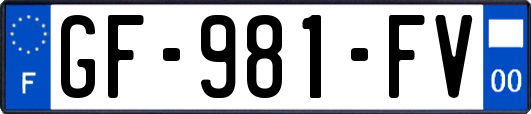 GF-981-FV