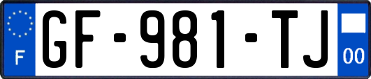 GF-981-TJ