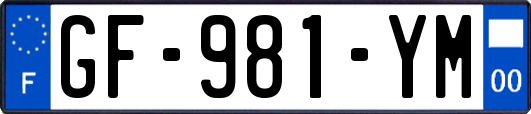 GF-981-YM