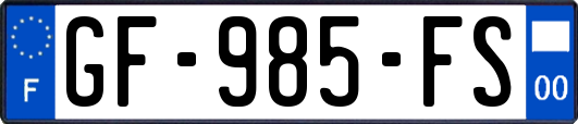 GF-985-FS