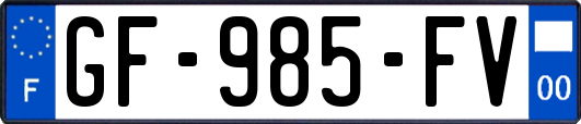 GF-985-FV