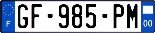 GF-985-PM