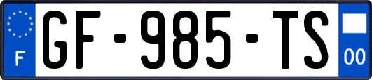 GF-985-TS