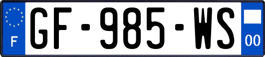 GF-985-WS